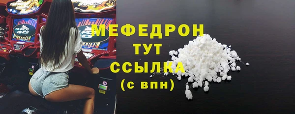 молекула духа Богородицк