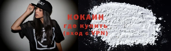 молекула духа Богородицк