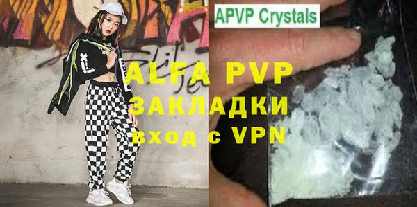 молекула духа Богородицк