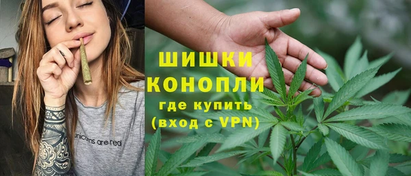 мдпв Богданович