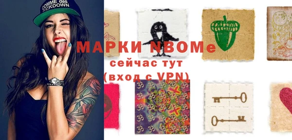 молекула духа Богородицк