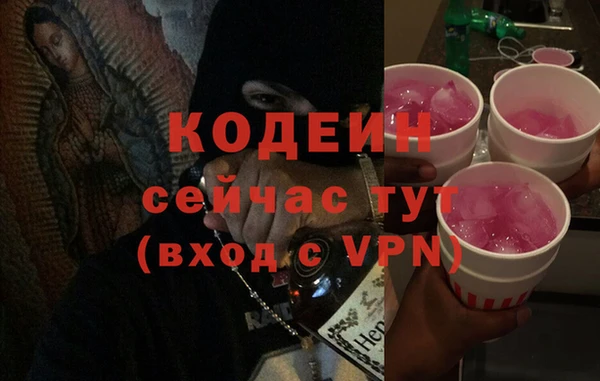 молекула духа Богородицк