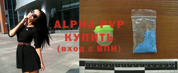 молекула духа Богородицк