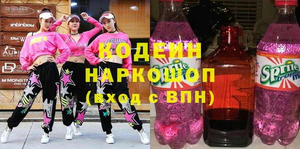 молекула духа Богородицк